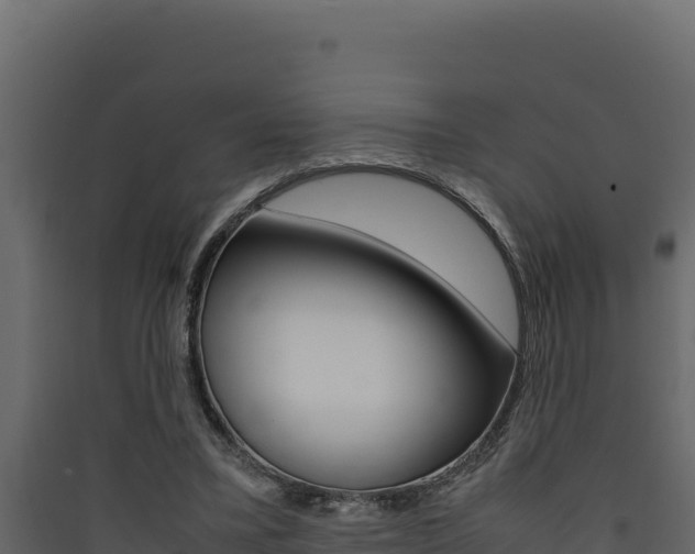 X0000090430395200707131013