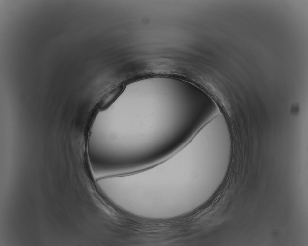 X0000090430397200707131013