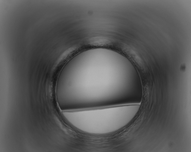 X0000090430400200707131013