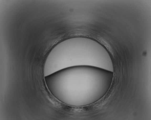 X0000090430401200707131013
