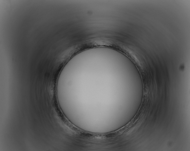 X0000090430402200707131012