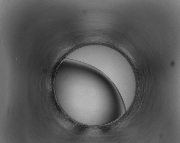 X0000090430403200707131012