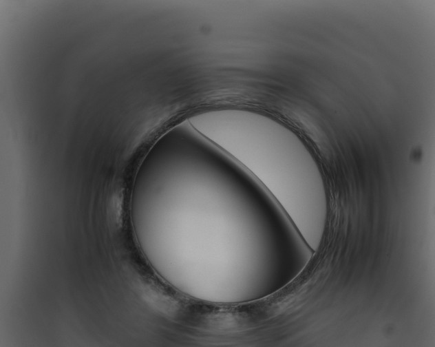 X0000090430404200707131012