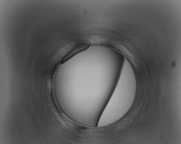 X0000090430405200707131012
