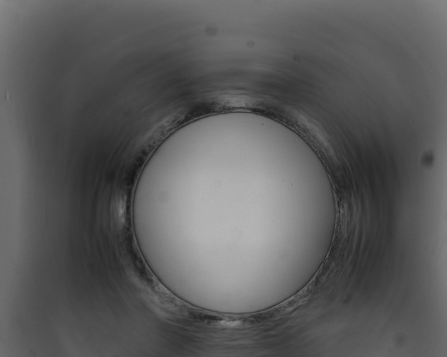 X0000090430406200707131012