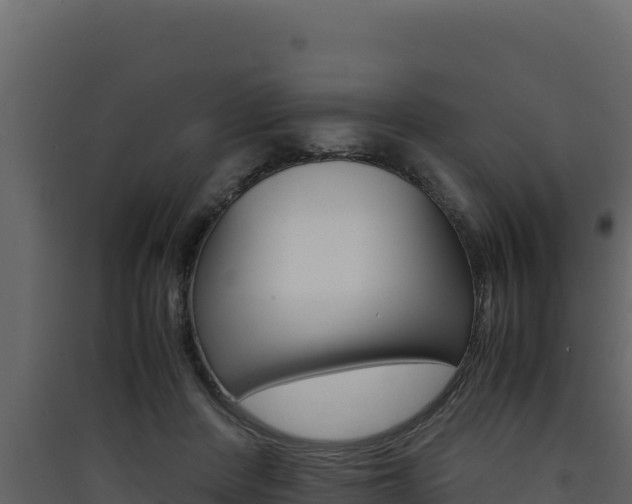 X0000090430408200707131012