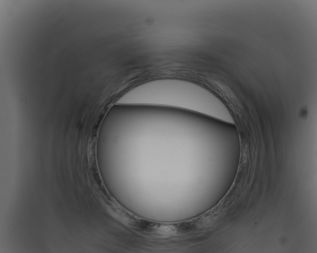X0000090430409200707131012
