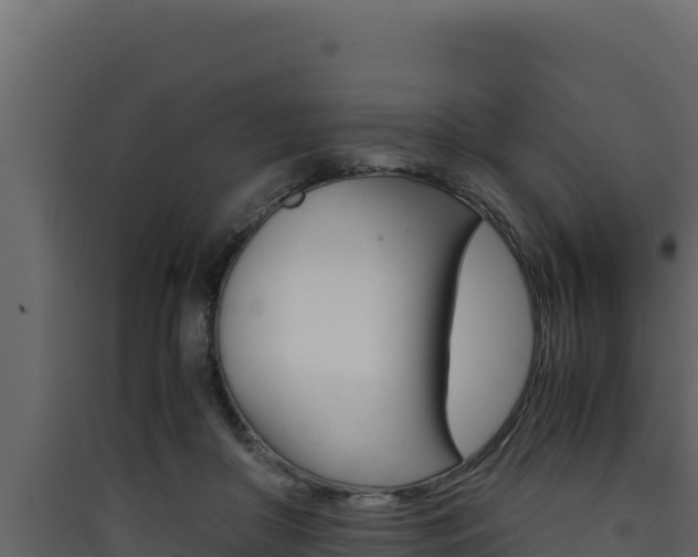 X0000090430410200707131012