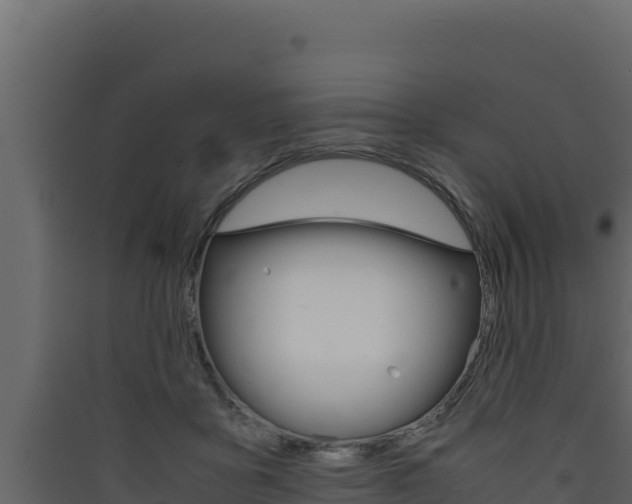 X0000090430411200707131012