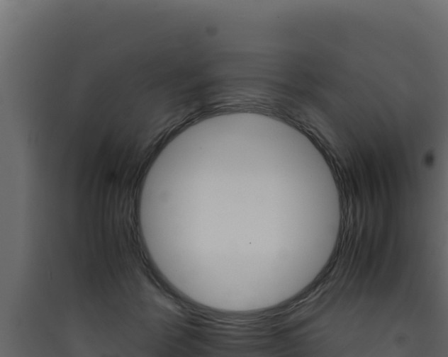 X0000090430412200707131012