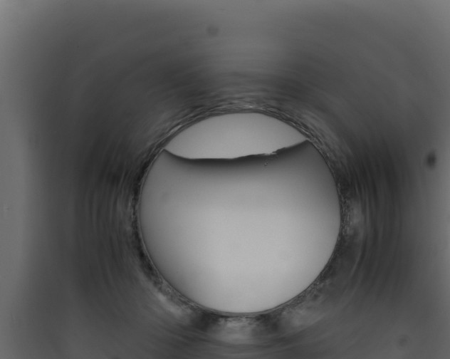 X0000090430414200707131012