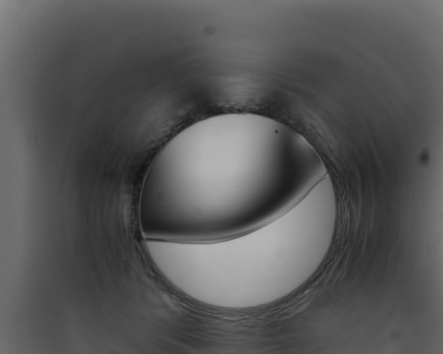 X0000090430416200707131012