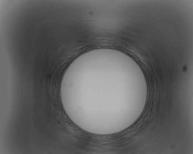 X0000090430417200707131012