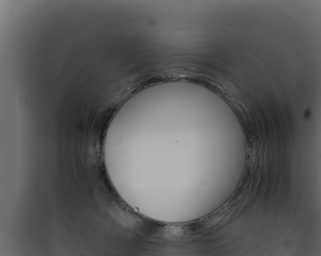 X0000090430418200707131012