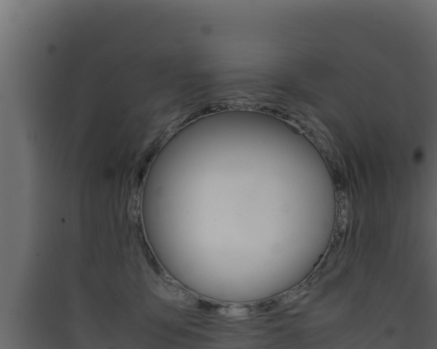 X0000090430419200707131012