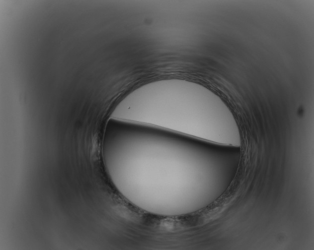 X0000090430420200707131012