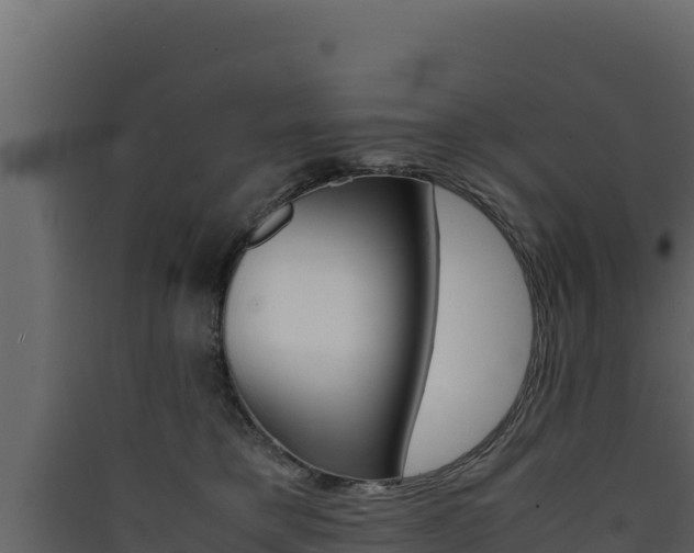 X0000090430421200707131012