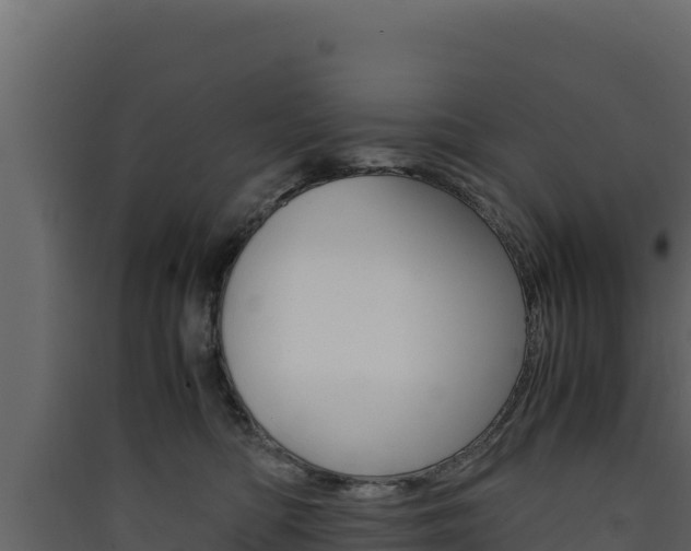 X0000090430422200707131012