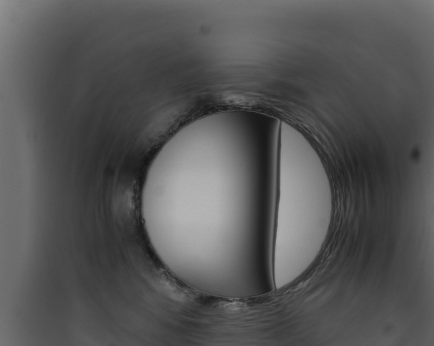 X0000090430424200707131012