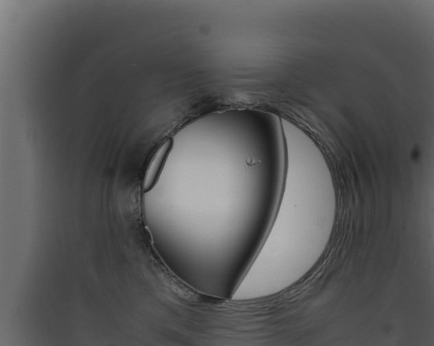 X0000090430425200707131012
