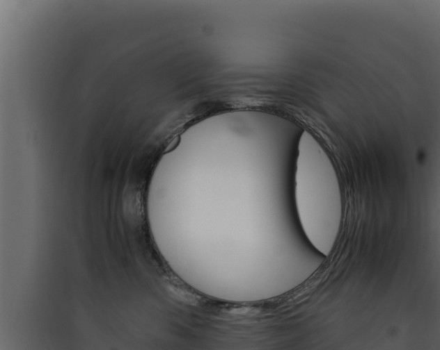 X0000090430426200707131012
