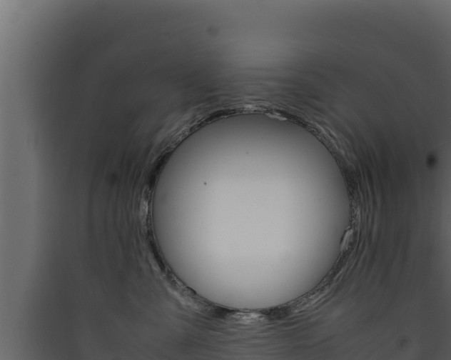 X0000090430427200707131012