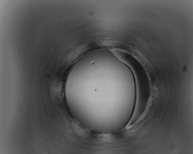 X0000090430428200707131012