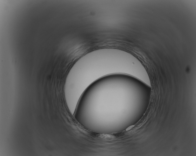 X0000090430429200707131012
