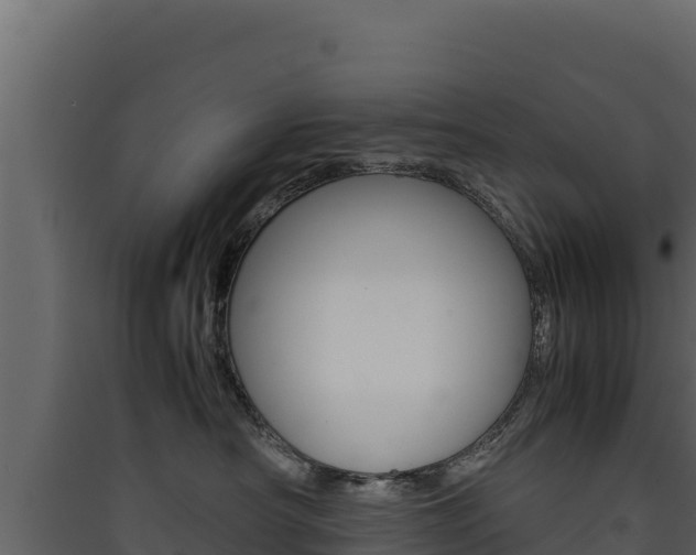 X0000090430430200707131012