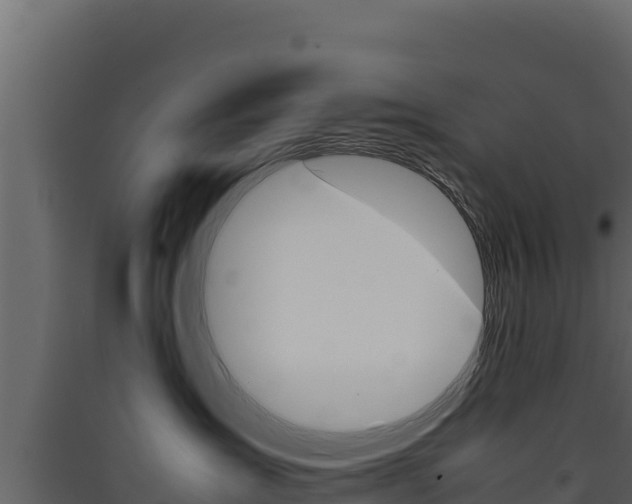 X0000090430431200707131012