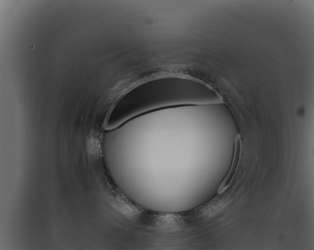 X0000090430432200707131012