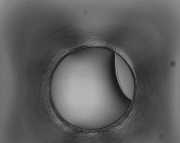X0000090430433200707131012