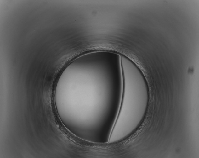 X0000090430434200707131012