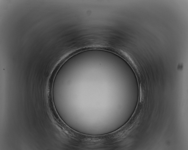 X0000090430435200707131012