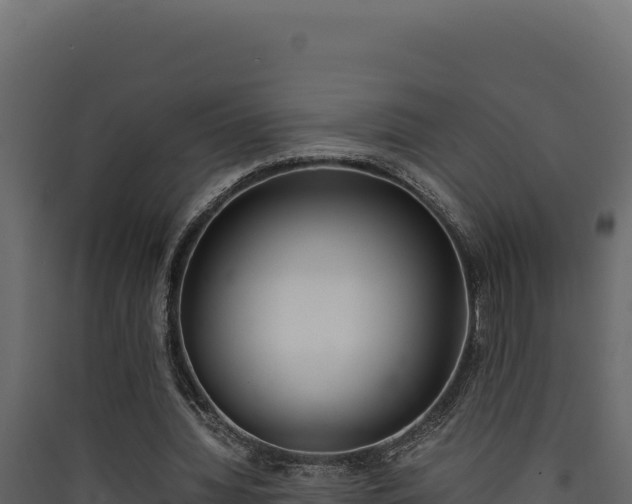 X0000090430436200707131012