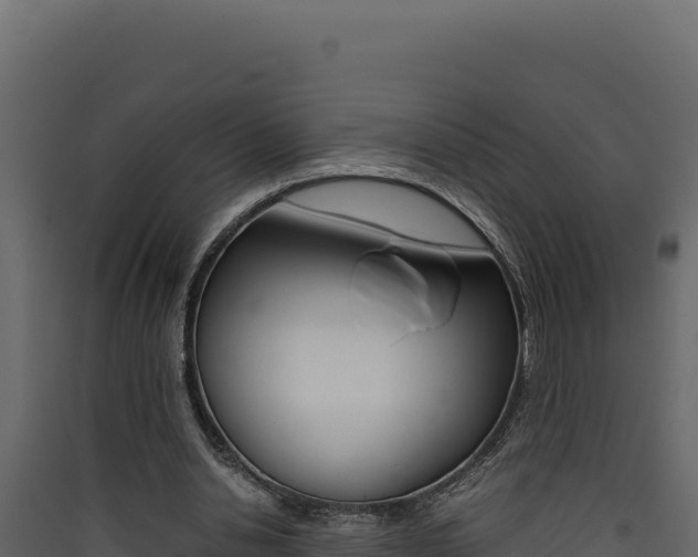 X0000090430438200707131012