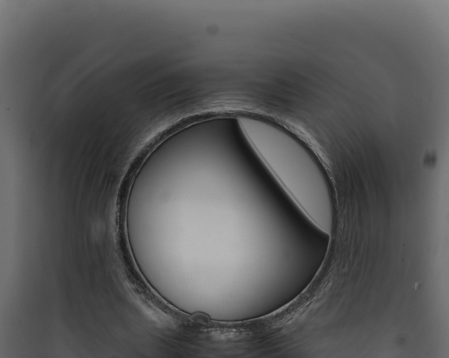 X0000090430439200707131012