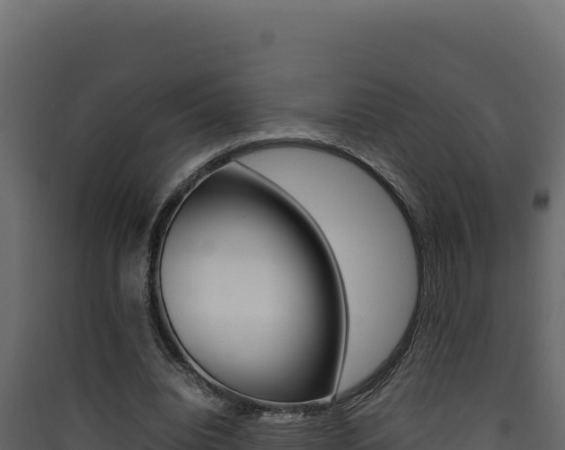 X0000090430440200707131012