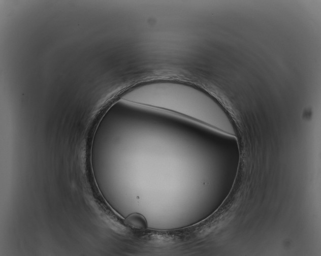 X0000090430442200707131012