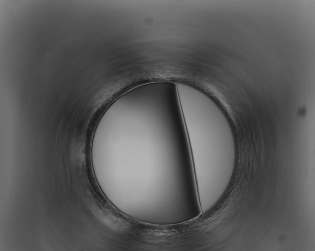 X0000090430443200707131012