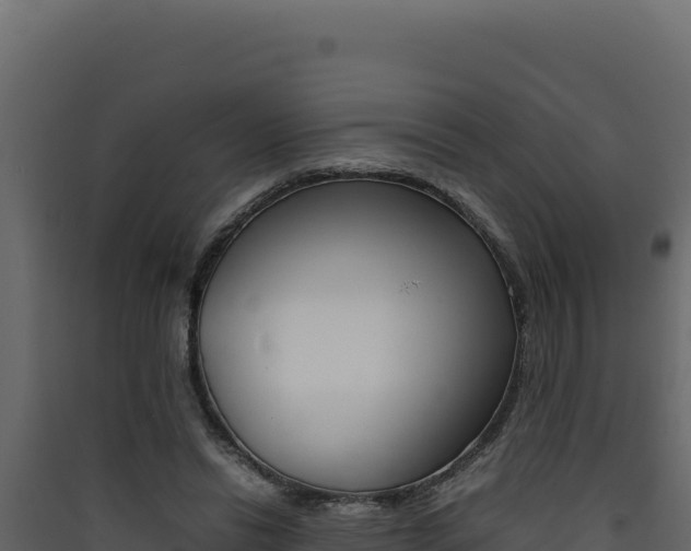 X0000090430446200707131012
