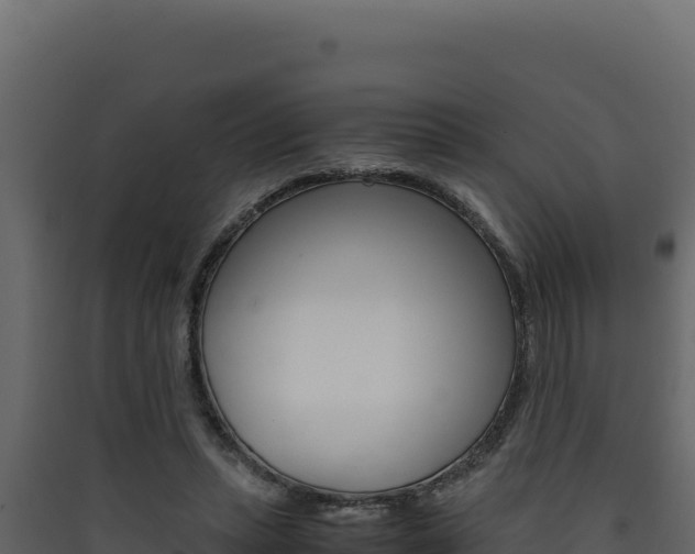 X0000090430447200707131012