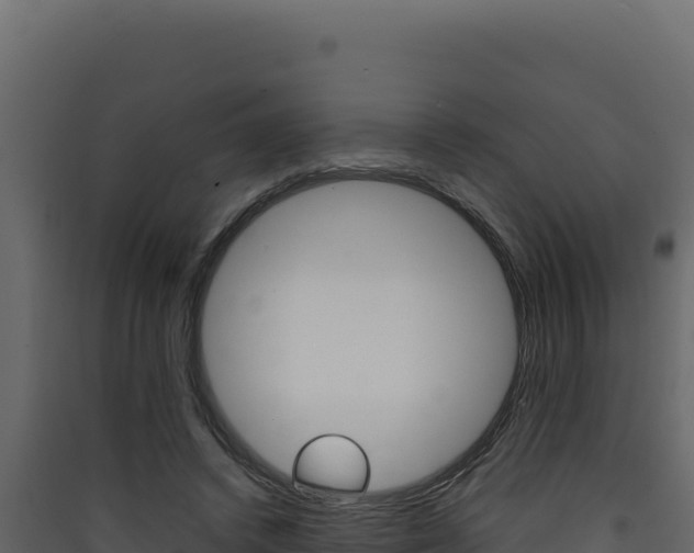 X0000090430448200707131012