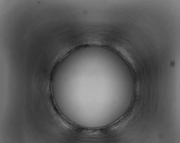 X0000090430449200707131012