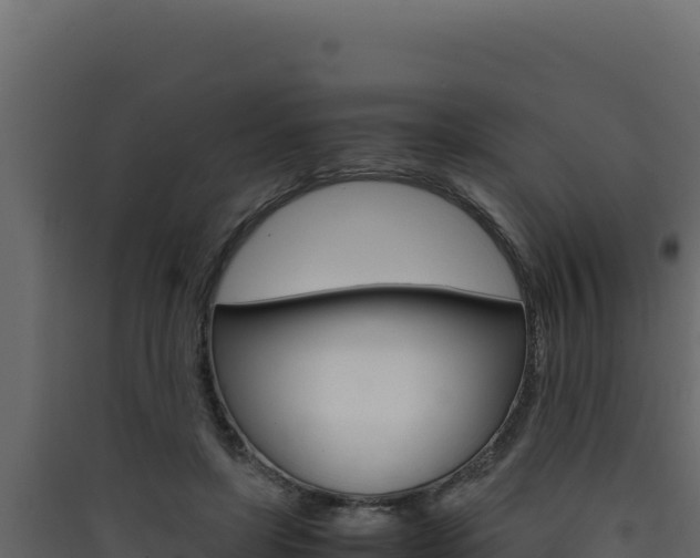 X0000090430451200707131012