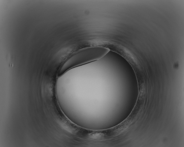X0000090430452200707131012