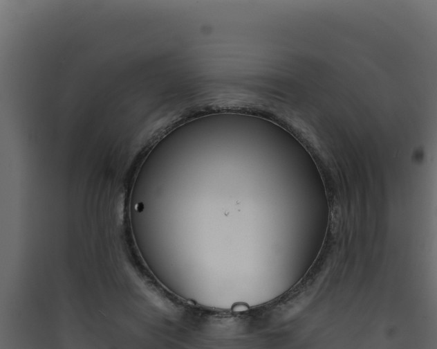 X0000090430454200707131012