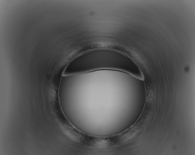 X0000090430456200707131012