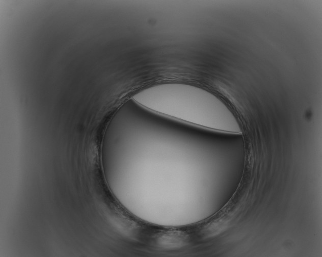 X0000090430459200707131012