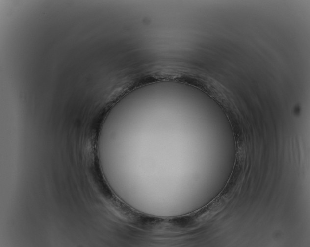 X0000090430460200707131012